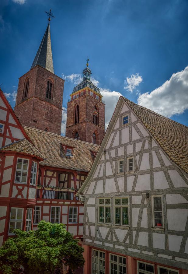Steinhaeuser Hof Neustadt an der Weinstraße Exterior foto